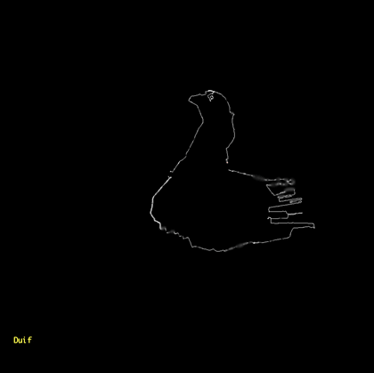 AmsterdamREALTIME -duif
